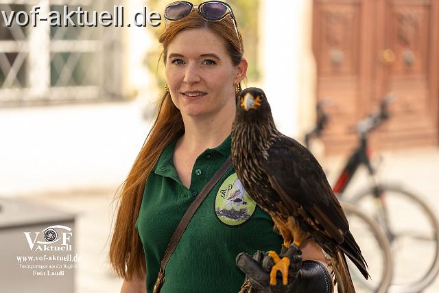 Foto Laudi_ Volksfestzug-79.jpg